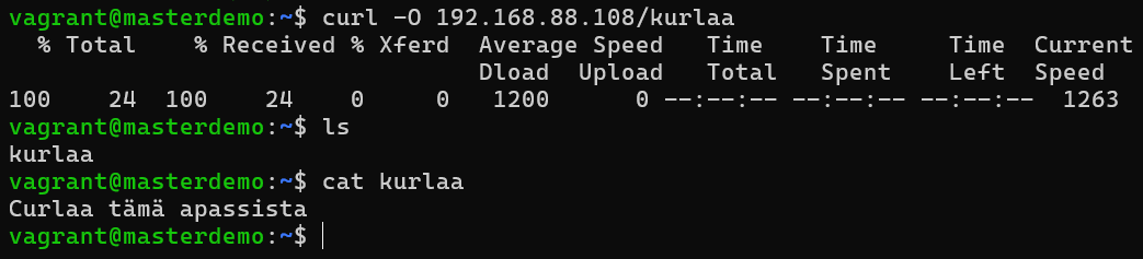 pyyntö web-palvelimelta