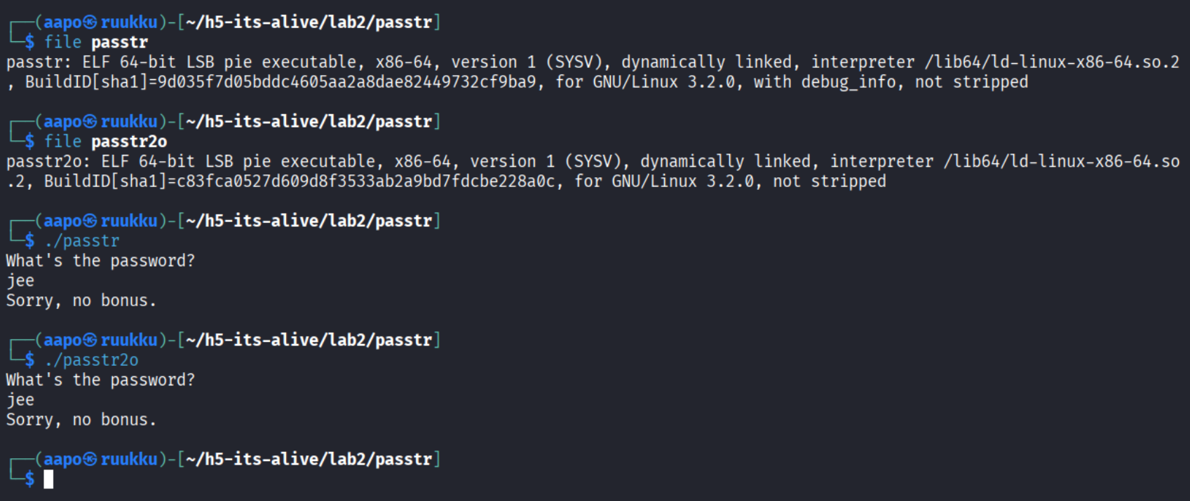 Tiedostojen tiedot ja ajaminen