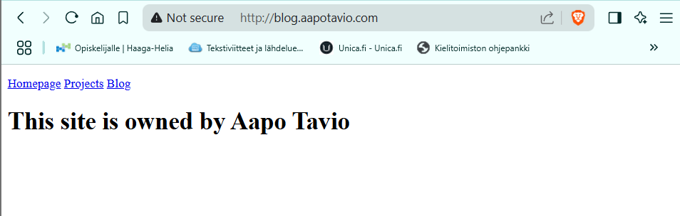 Blog alidomain selaimessa virheellinen