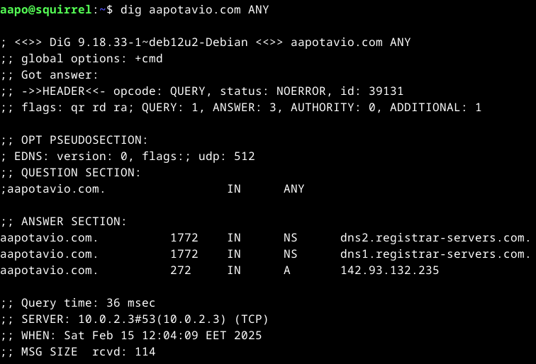 dig-komento aapotavio.com domainiin