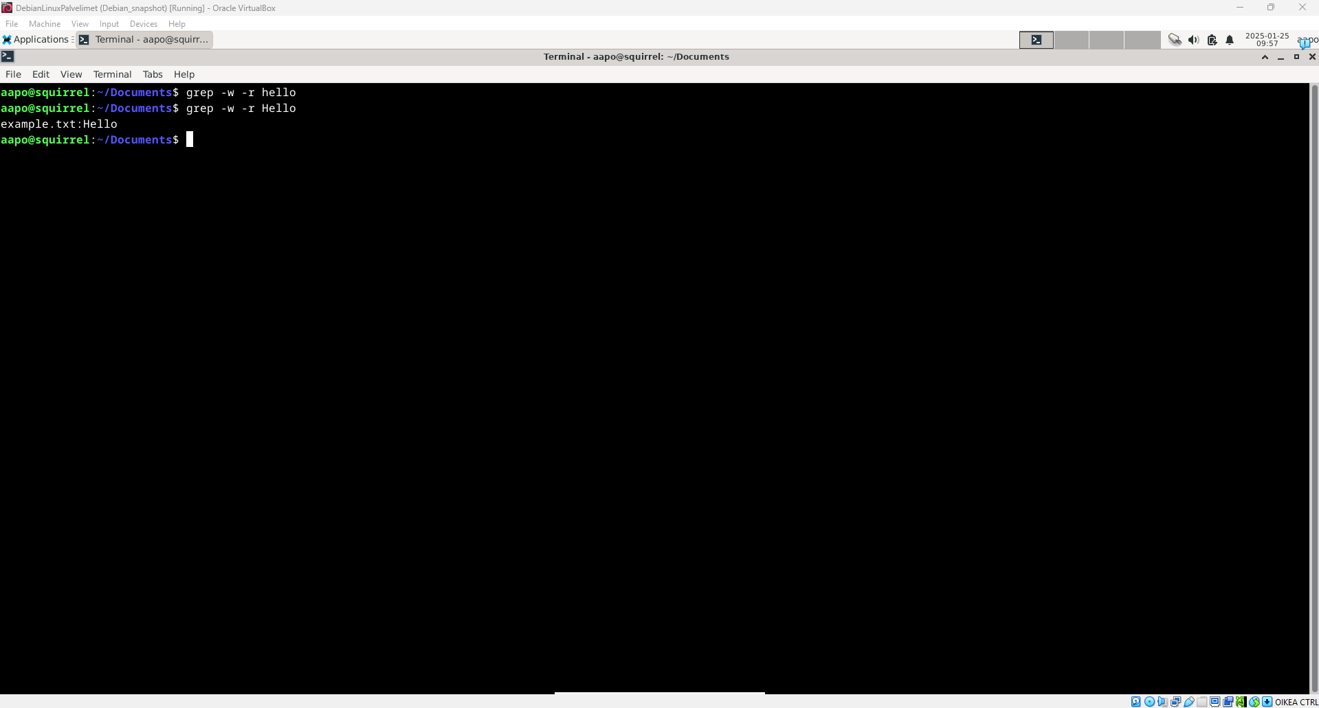 Kuva "grep" komennosta