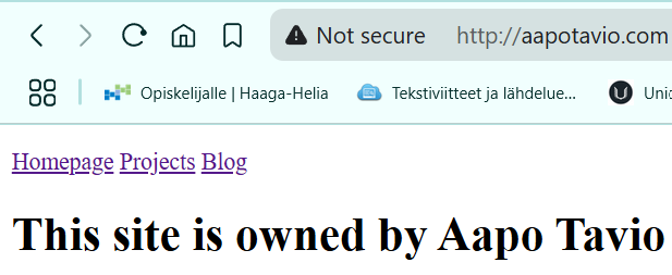 testi aapotavio.com selaimella