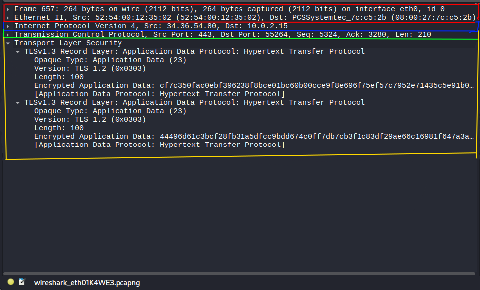 Kuva kaapatun paketin tiedoista